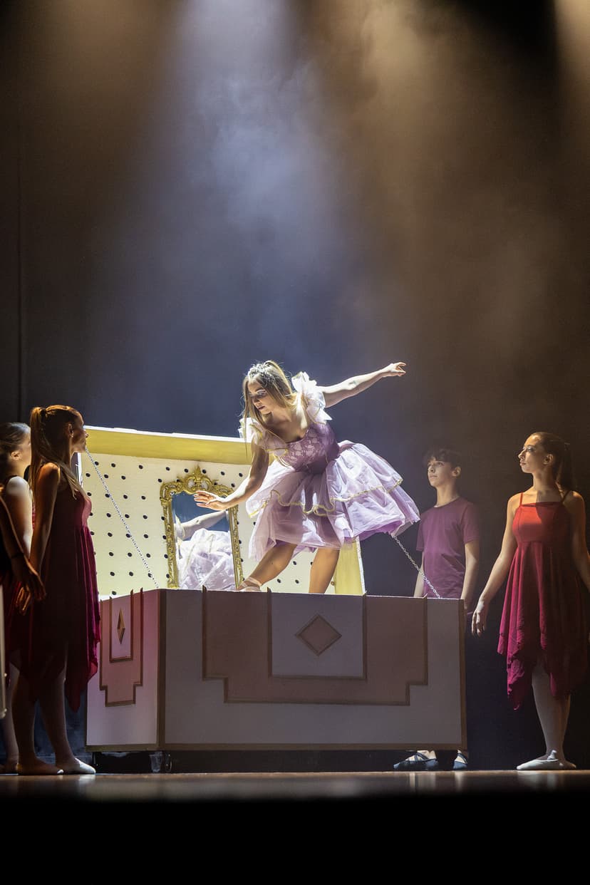 A Bailarina da Caixa de Música - Foto 8